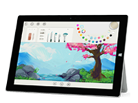 鄱阳Surface 无法开启、Windows 无法启动或电池无法充电